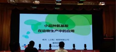 第十五屆泰山論壇 動物營養(yǎng)與飼料科學(xué)技術(shù)交流峰會2019圓滿落幕，技術(shù)轉(zhuǎn)讓成果豐碩